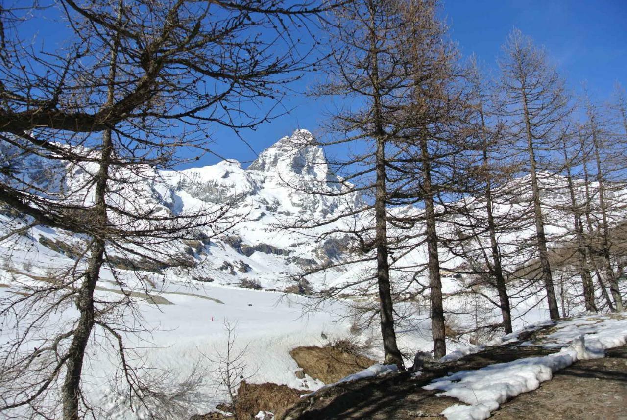 President Palace - Breuil Cervinia -Appartamento 6 - Cir 0634 Buitenkant foto